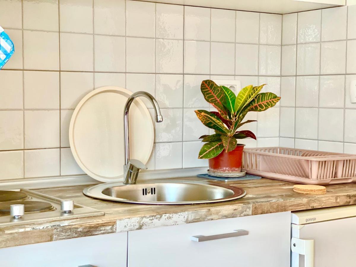 Garden House بودفا المظهر الخارجي الصورة