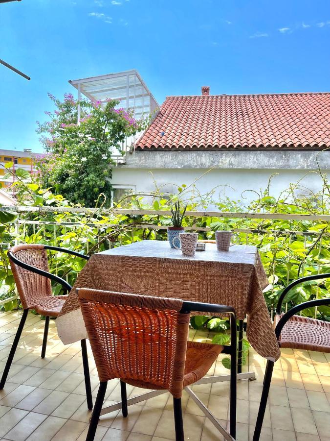 Garden House بودفا المظهر الخارجي الصورة